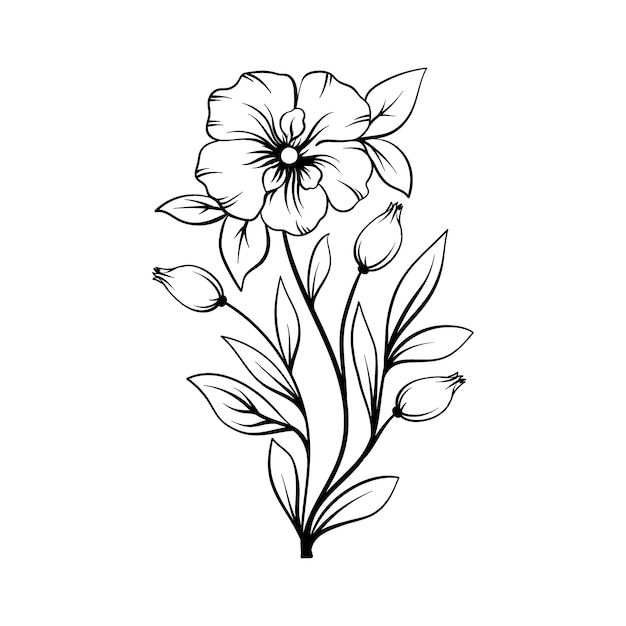 flower line drawing