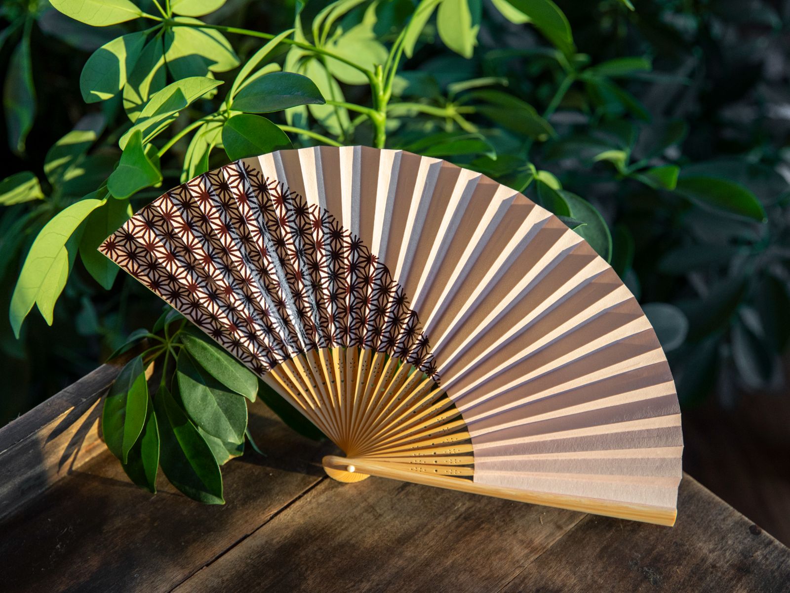 folding fan