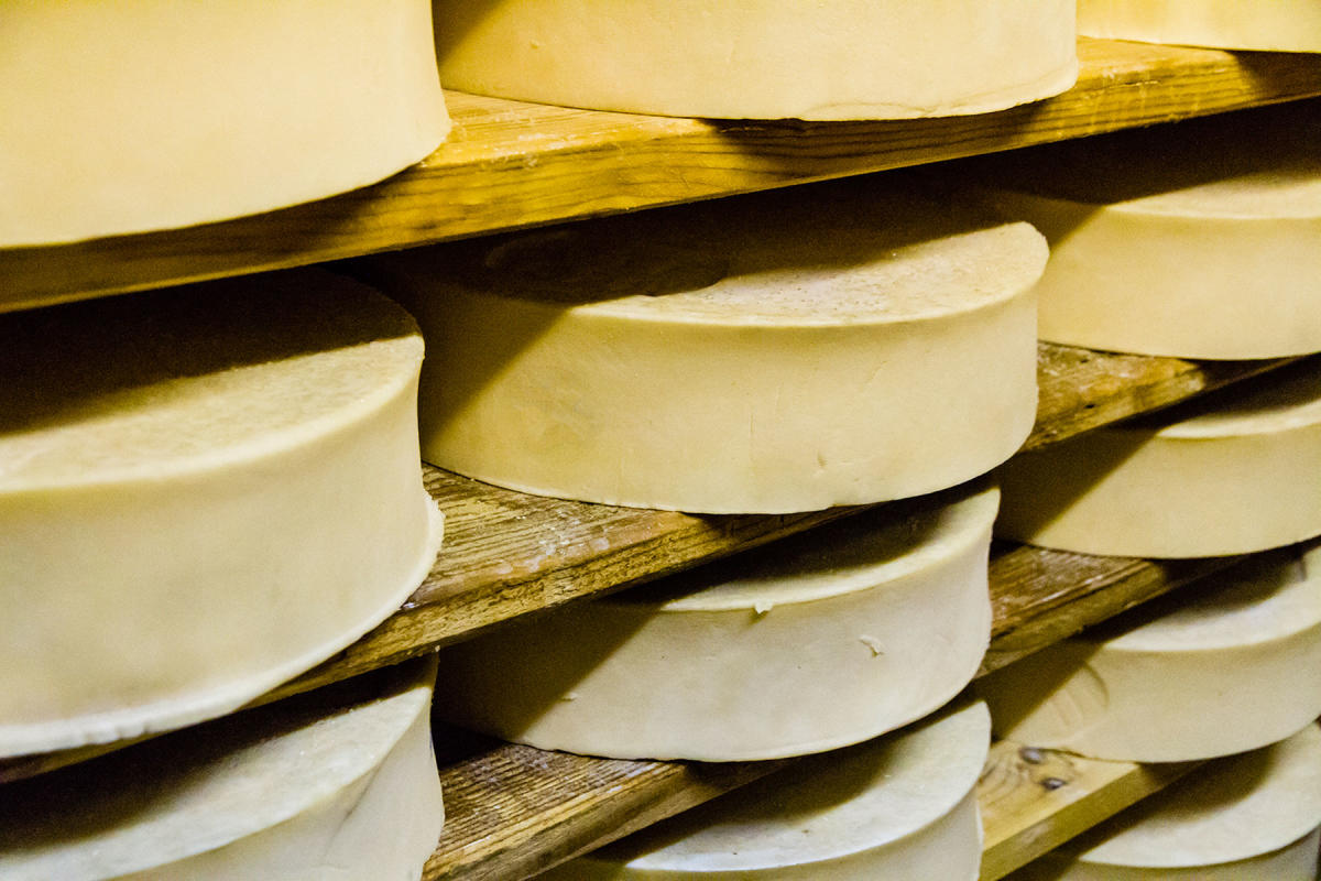 fontina cheese equivalents