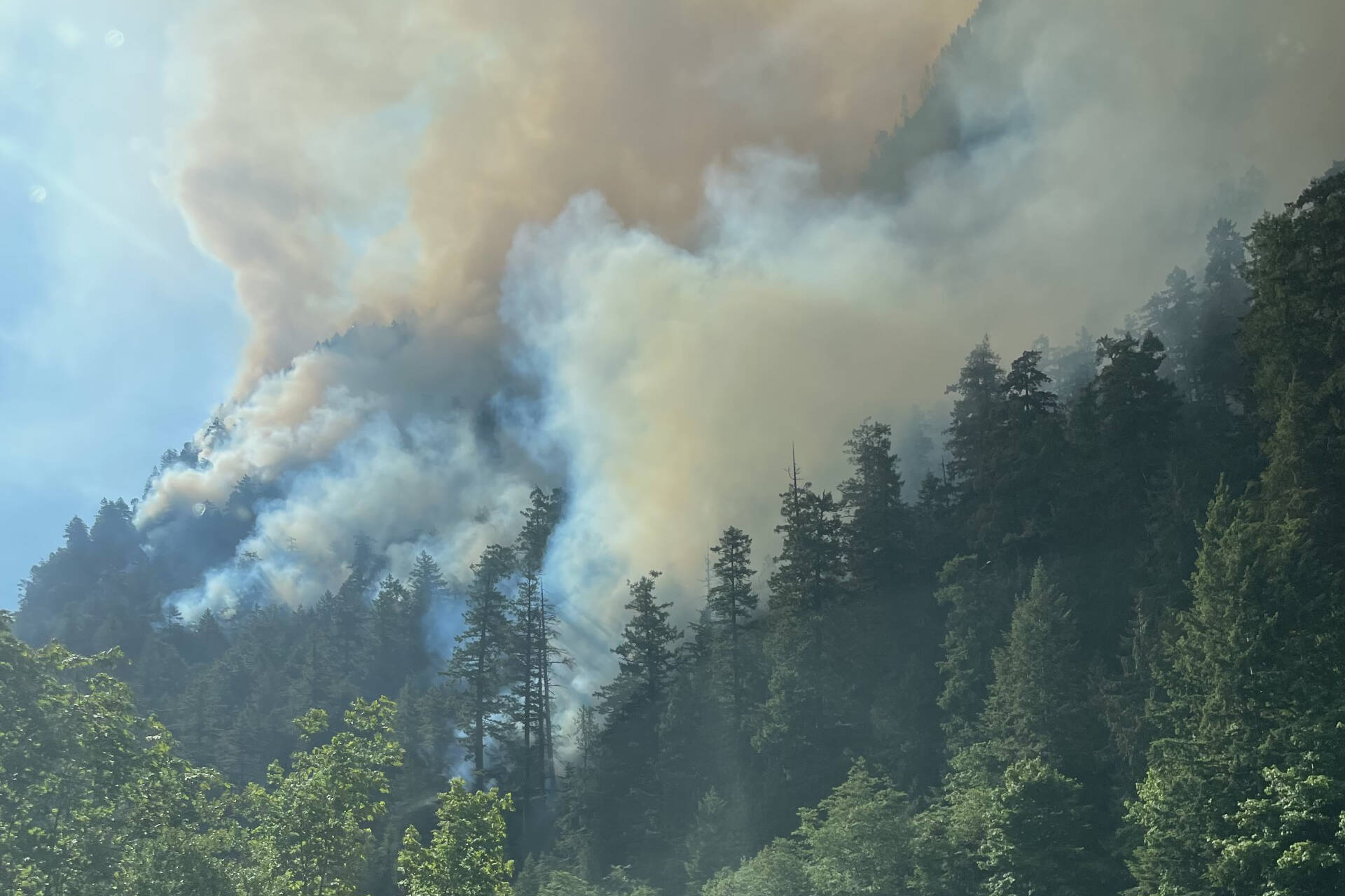 forest fire port alberni