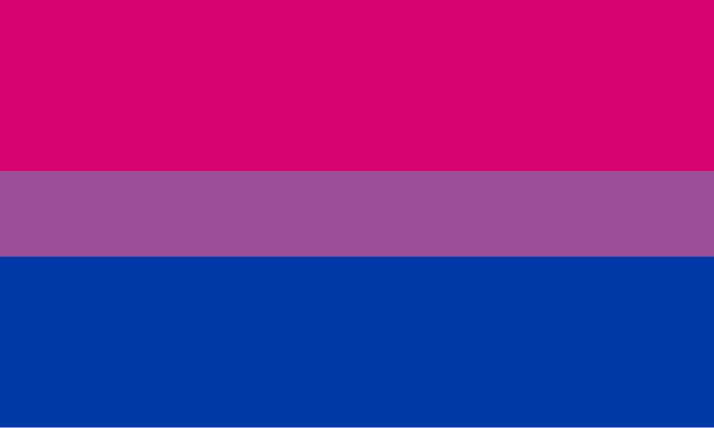 foto de la bandera bisexual