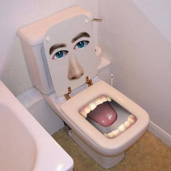 funny toilet bowl pictures