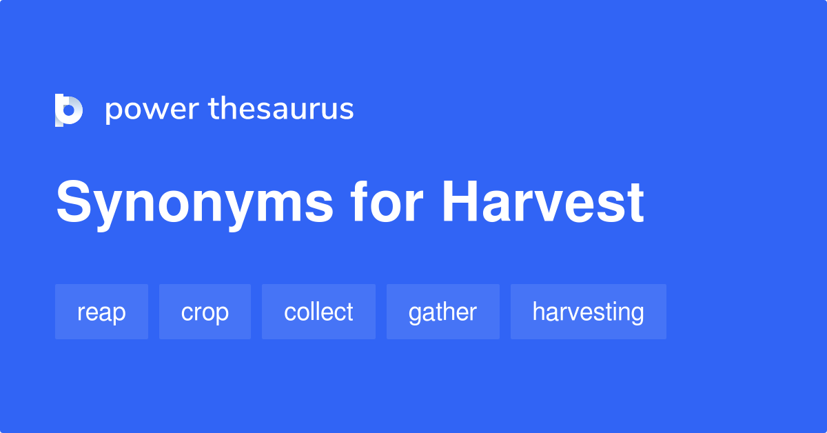 garner thesaurus