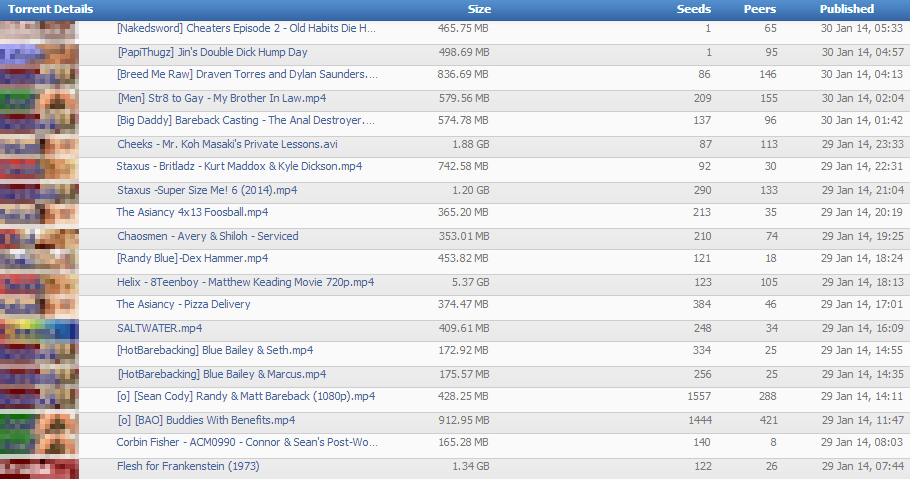 gay torrents org