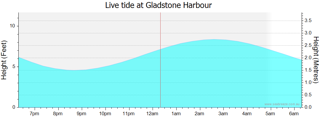 gladstone tide tables