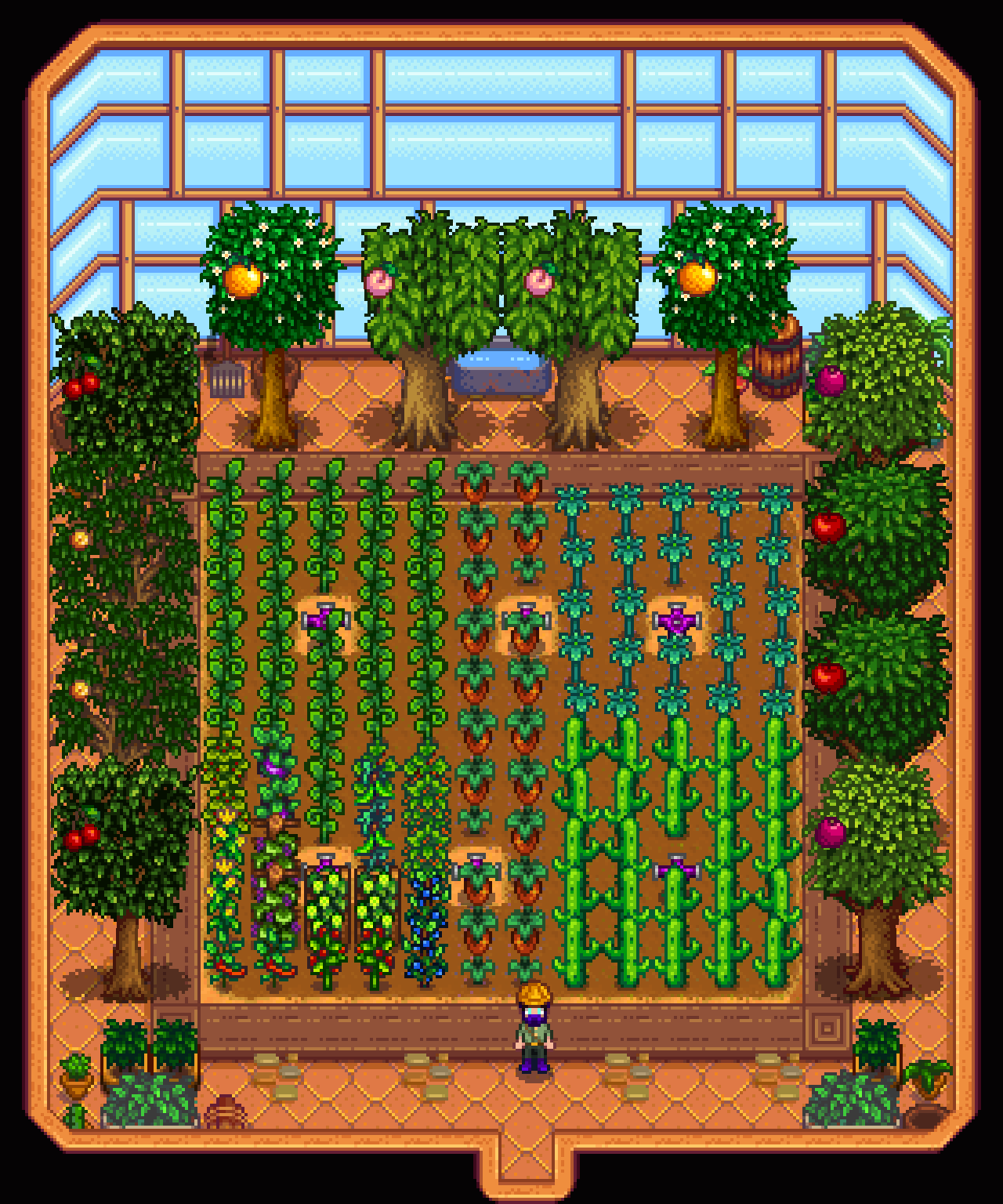 greenhouse layout stardew