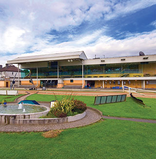 greyhound track mullingar