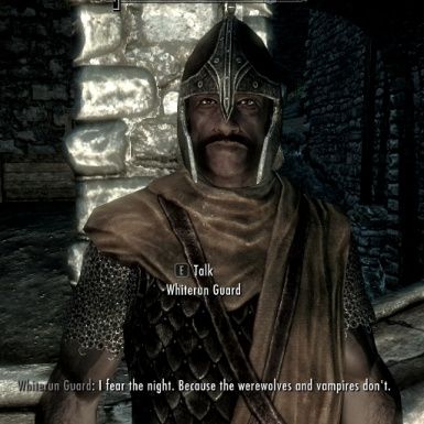 guard quotes skyrim