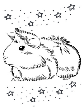 guinea pigs colouring pages