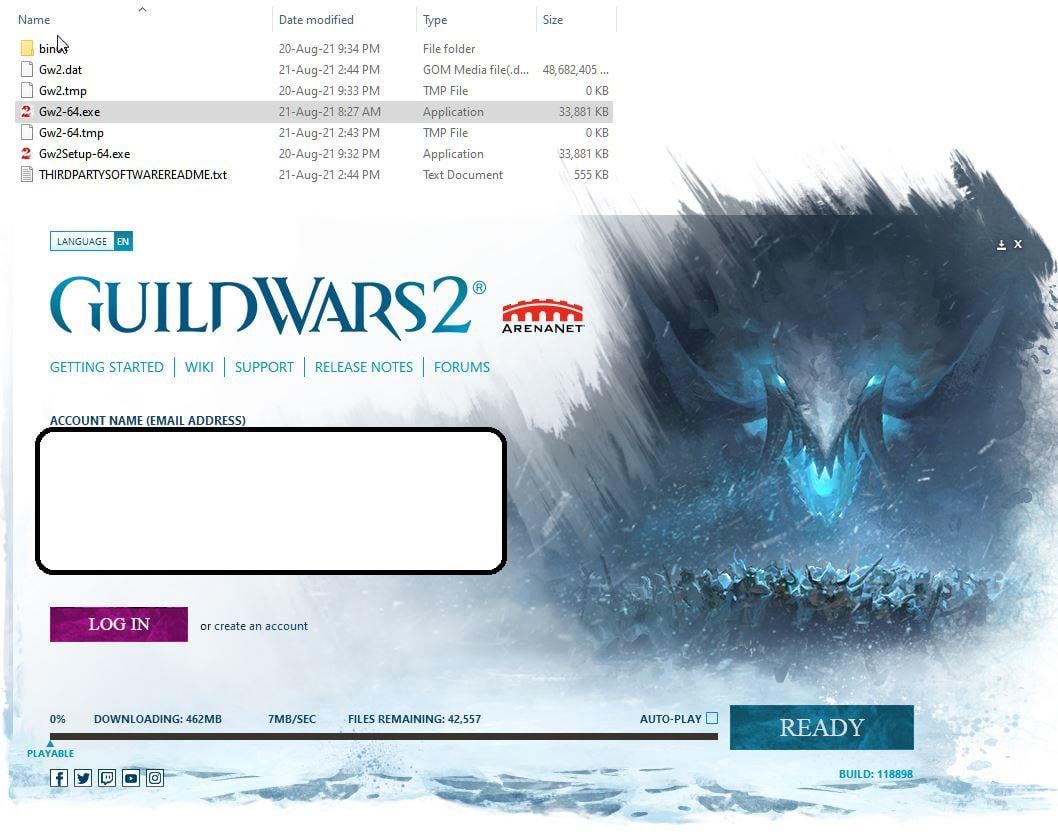 gw2 download