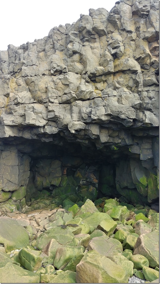 halls harbour sea cave