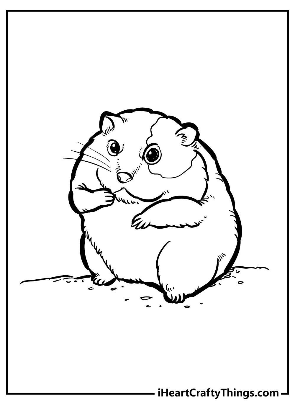 hamster pictures to color