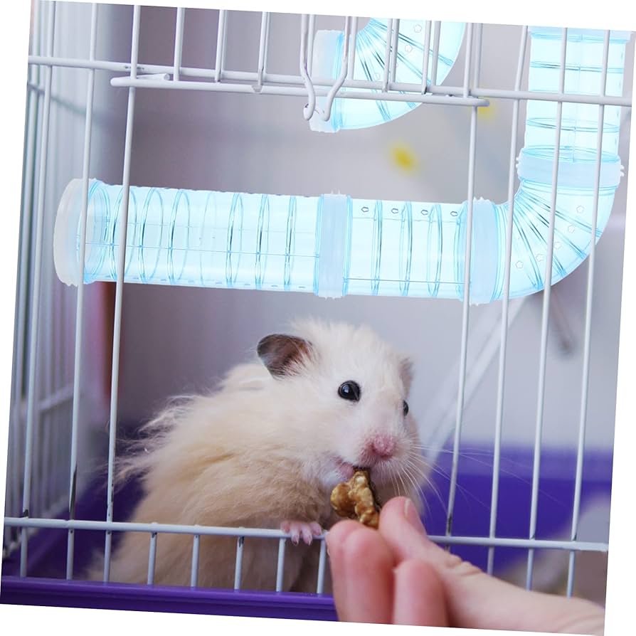 hamster tube hd