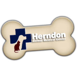 herndon animal medical center