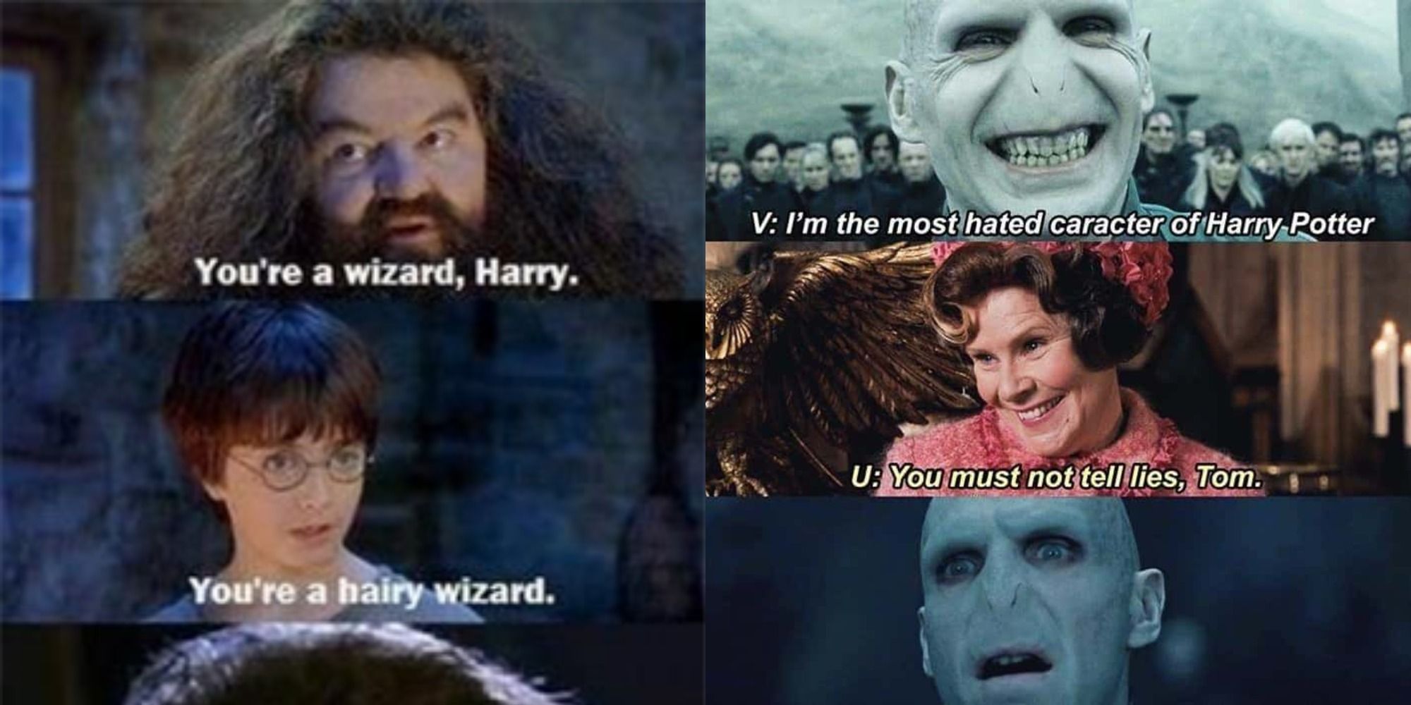 hilarious harry potter memes