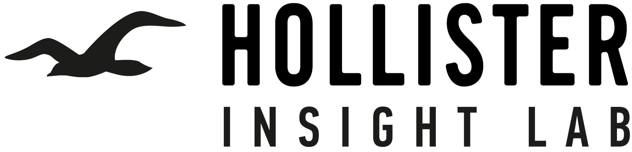 hollister insight lab