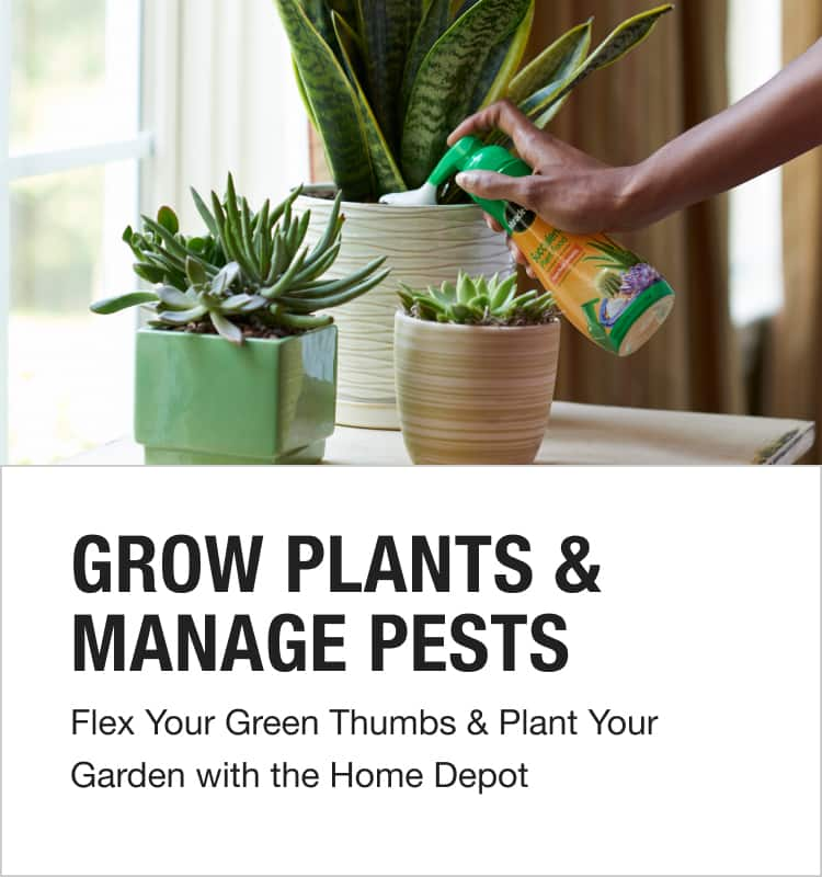 home depot plants online