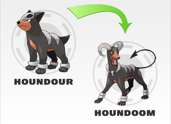 houndour evolve