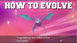 how do you evolve golbat