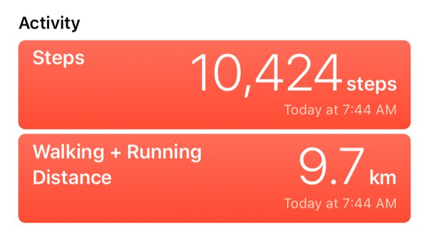 how many km is 20000 steps