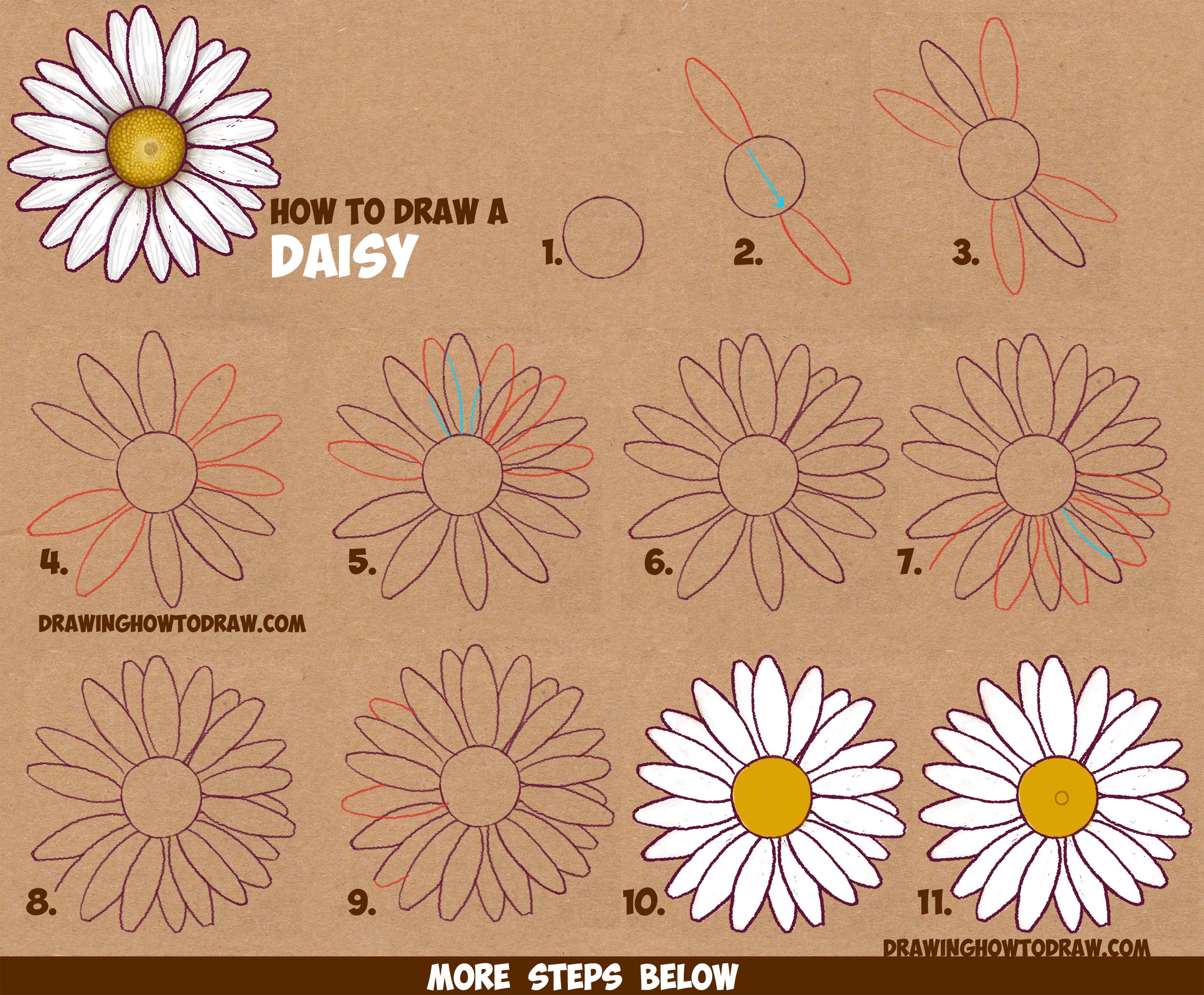 how to draw a daisy flower