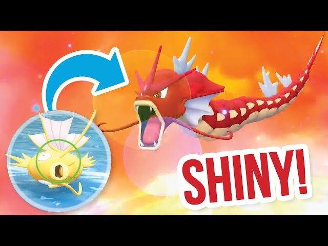 how to evolve magikarp lets go pikachu