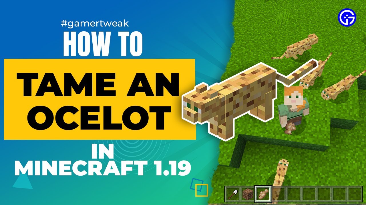 how to tame an ocelot in minecraft