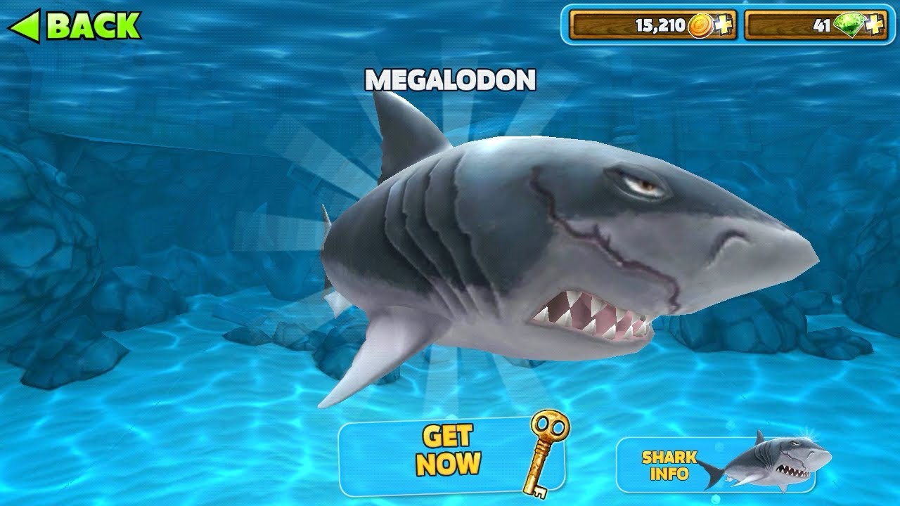 hungry shark megalodon