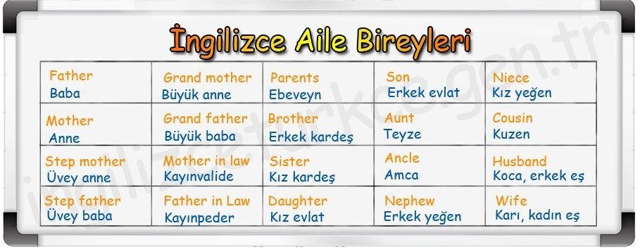 husband ingilizce anlamı