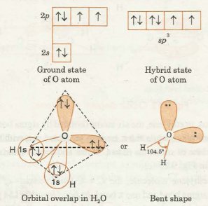 hybridization in h2o