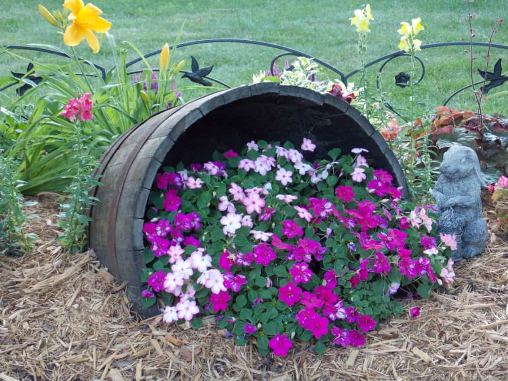 ideas for planting in whiskey barrels