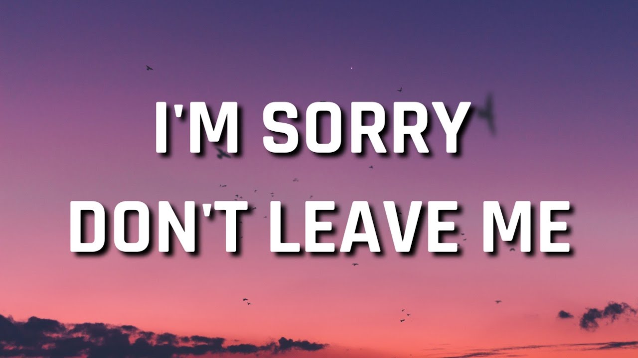 im sorry dont leave me lyrics