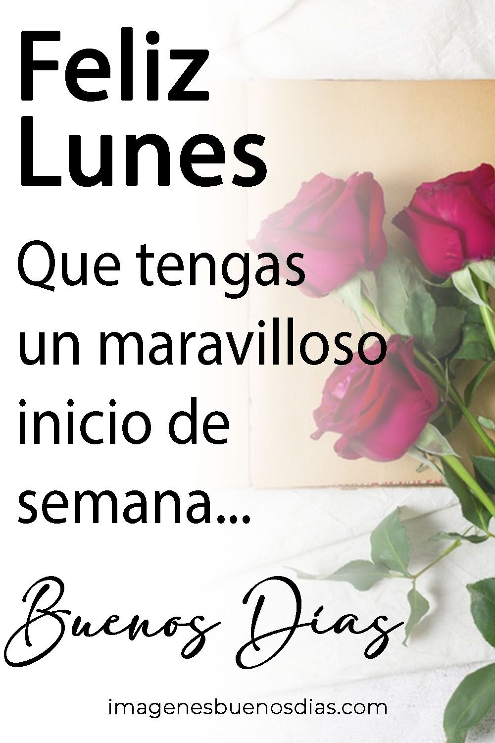 imagen feliz lunes inicio de semana