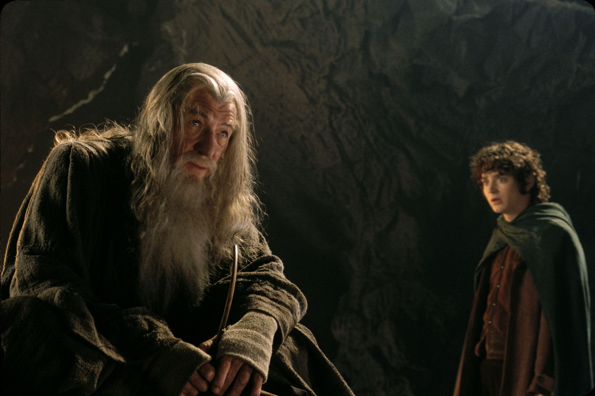 imdb the fellowship of the ring