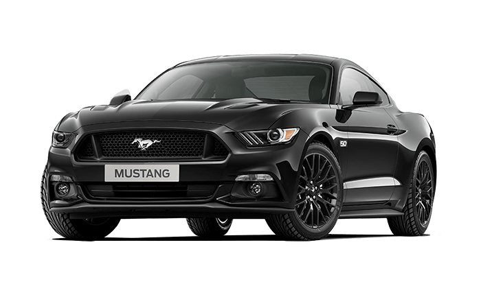 india mustang price