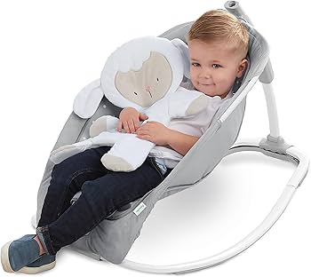 ingenuity infant rocker