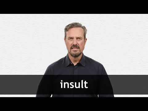 insult übersetzung