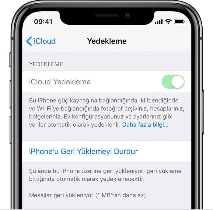 iphone 6 10.3 3 geri yükleme