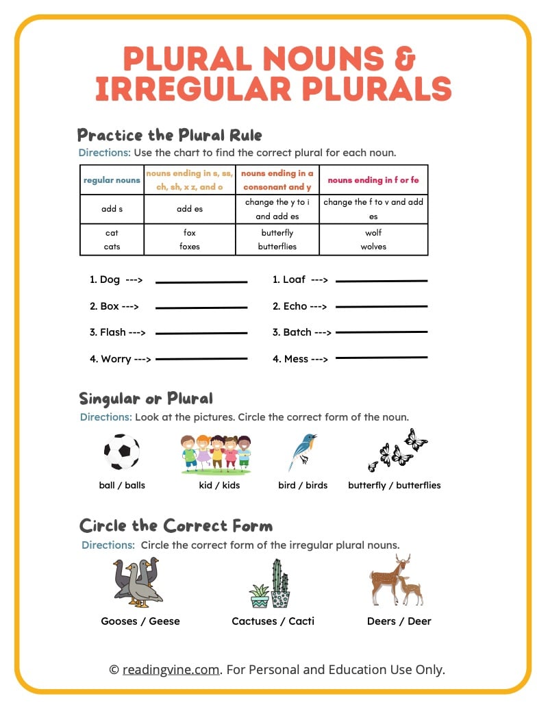 irregular plural nouns worksheet