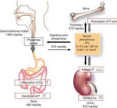 is 2.2 bilirubin dangerous