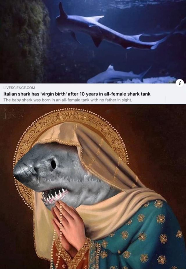 italian shark has virgin birth