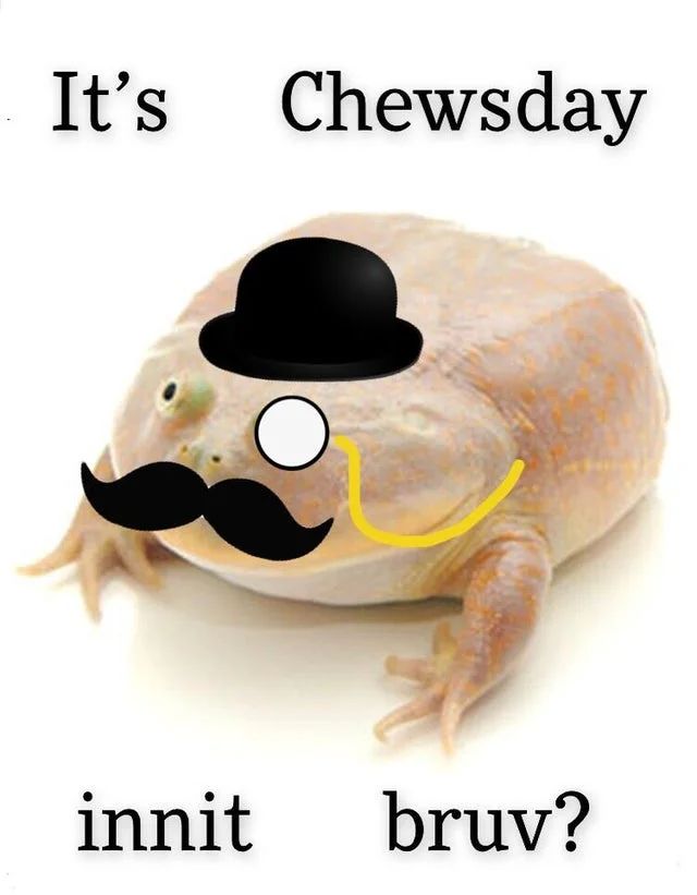 its wednesday my dudes frog