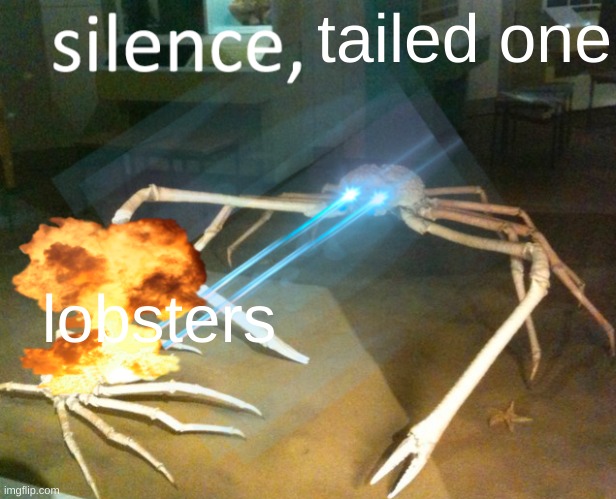 japanese spider crab meme