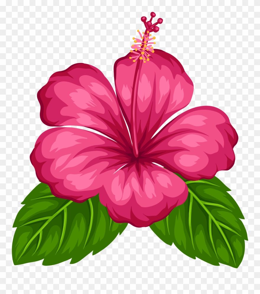 jungle flowers clipart