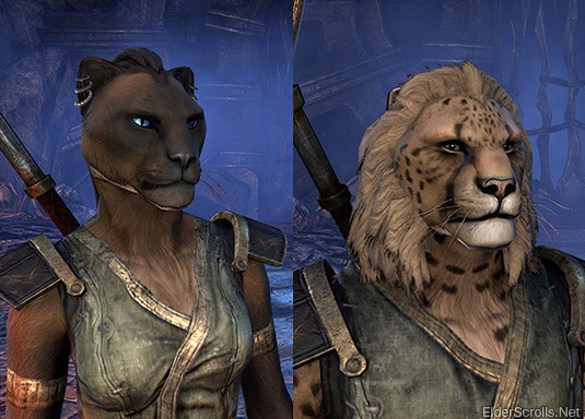 khajiit