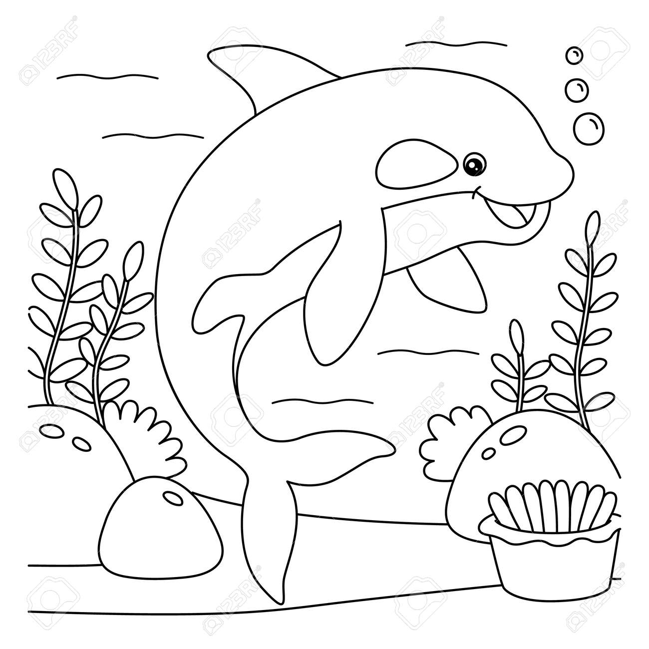 killer whale coloring page