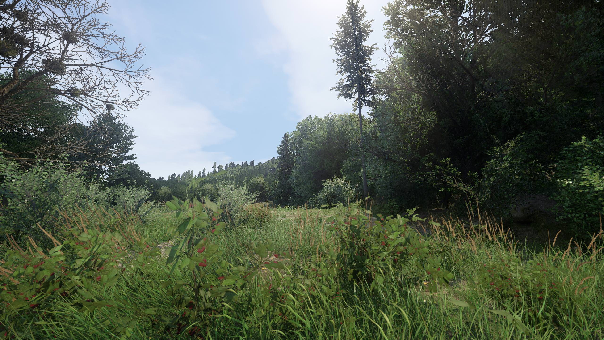 kingdom come deliverance enb