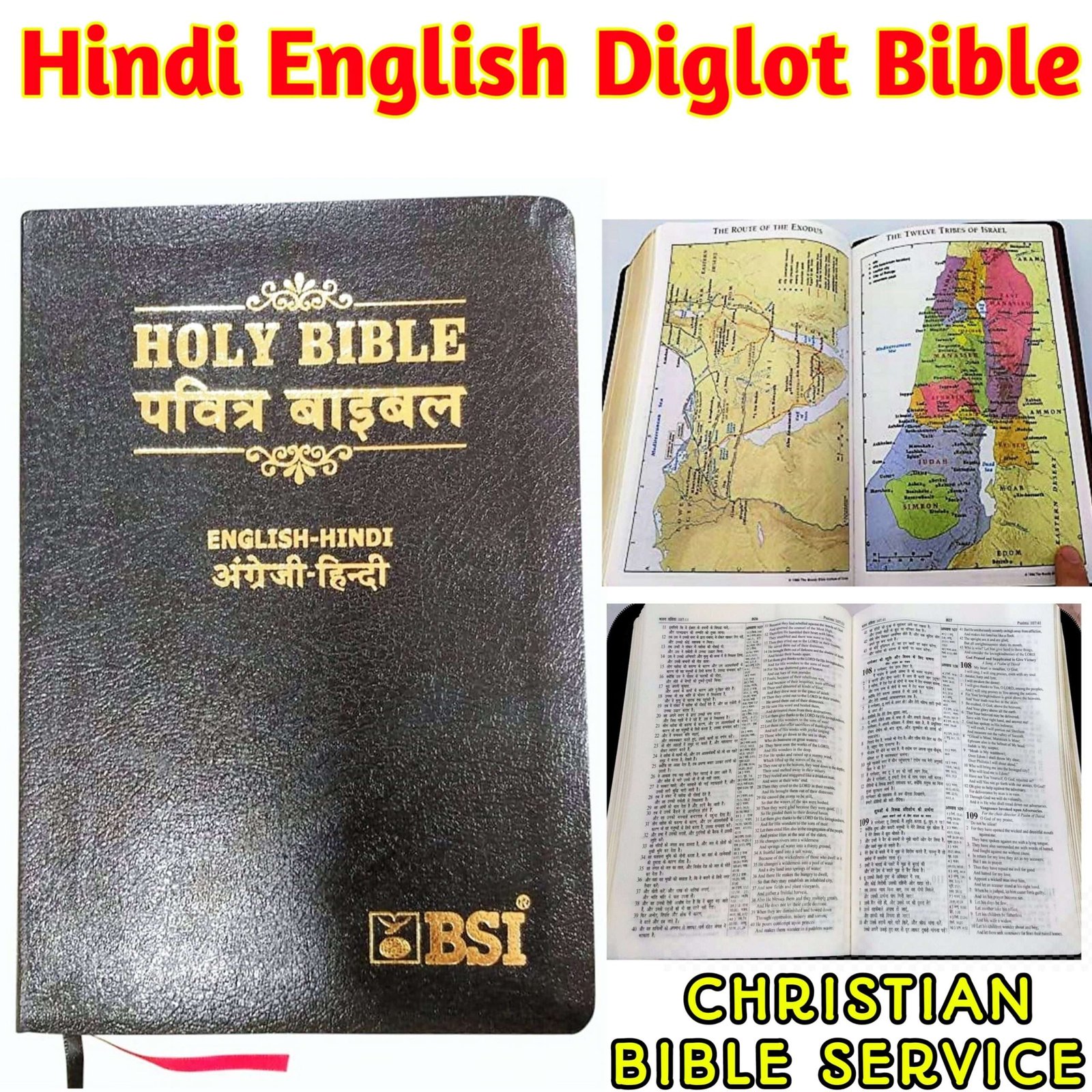 kjv bible in hindi