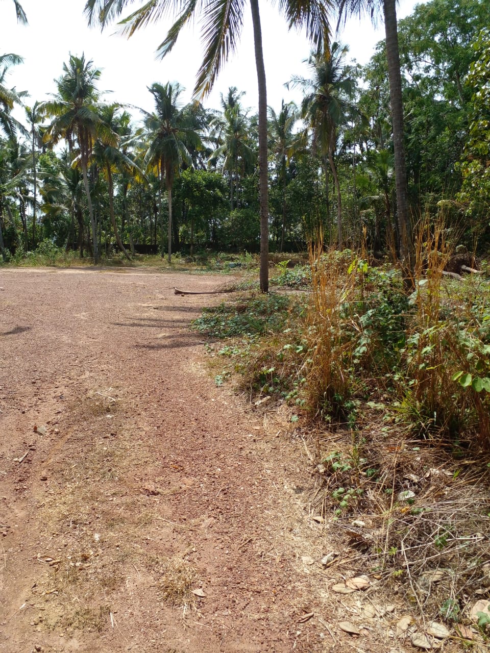 land for sale in kannur