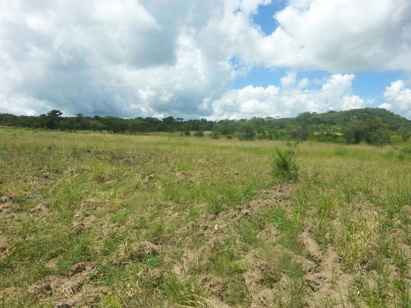 land for sale in zimbabwe